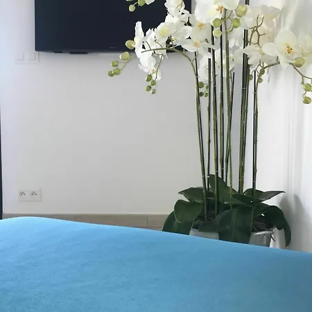 Vesna Rossa A Pieds Avec Piscines Individuelles Lecci